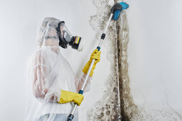 Water Damage Restoration in Bloomfield, MO
